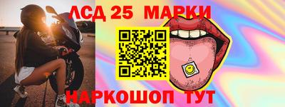 гашик Камышлов
