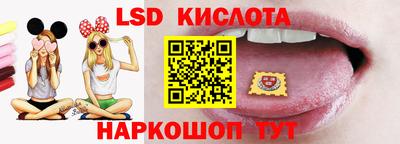 гашик Камышлов