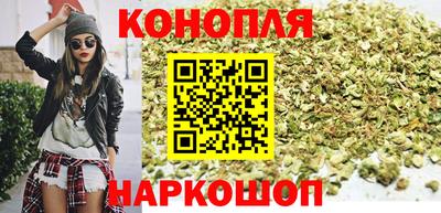гашик Камышлов