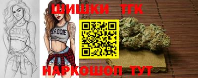 гашик Кандалакша
