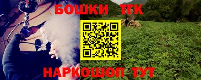 гашик Кандалакша